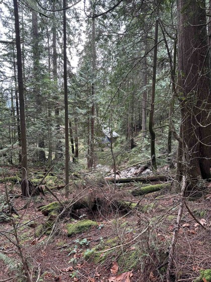 Photo 13 at Lot 2 Indian River Drive, Indian River, North Vancouver