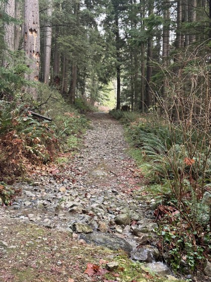 Photo 18 at Lot 2 Indian River Drive, Indian River, North Vancouver