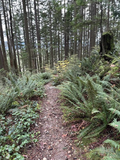 Photo 8 at Lot 2 Indian River Drive, Indian River, North Vancouver