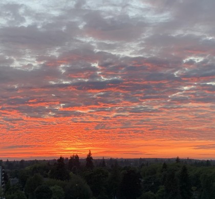 Photo 34 at PH1 - 2121 W 38th Avenue, Kerrisdale, Vancouver West