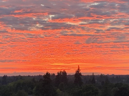 Photo 35 at PH1 - 2121 W 38th Avenue, Kerrisdale, Vancouver West