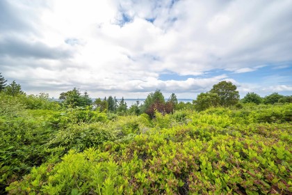 Photo 22 at 49 - 2202 Folkestone Way, Panorama Village, West Vancouver