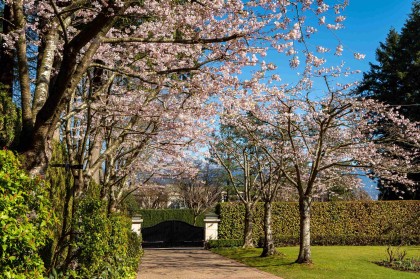 Photo 32 at 4778 Drummond Drive, Point Grey, Vancouver West