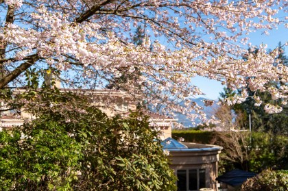 Photo 37 at 4778 Drummond Drive, Point Grey, Vancouver West