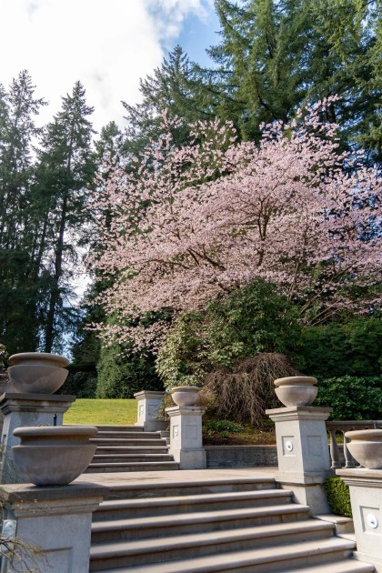 Photo 35 at 4778 Drummond Drive, Point Grey, Vancouver West