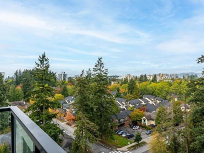 Photo 19 at 1106 - 5380 Crooked Branch Road, University VW, Vancouver West