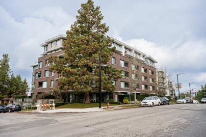 Photo 4 at 301 - 505 W 30th Avenue, Cambie, Vancouver West