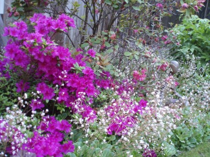 Photo 27 at 1498 Chamberlain Drive, Lynn Valley, North Vancouver