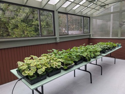 Photo 32 at 1498 Chamberlain Drive, Lynn Valley, North Vancouver