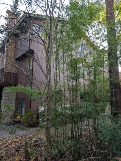 Photo 5 at 1498 Chamberlain Drive, Lynn Valley, North Vancouver