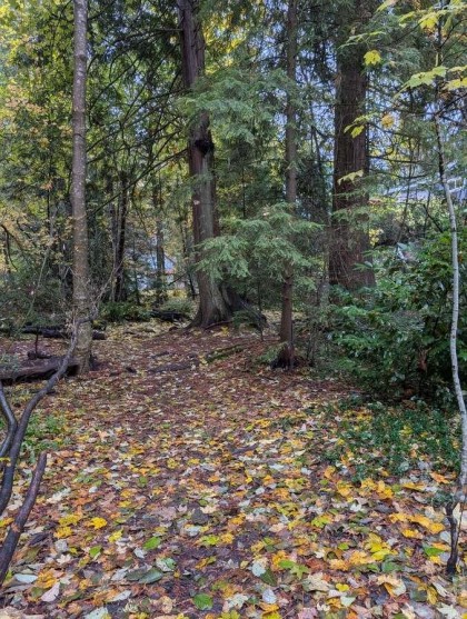 Photo 37 at 1498 Chamberlain Drive, Lynn Valley, North Vancouver