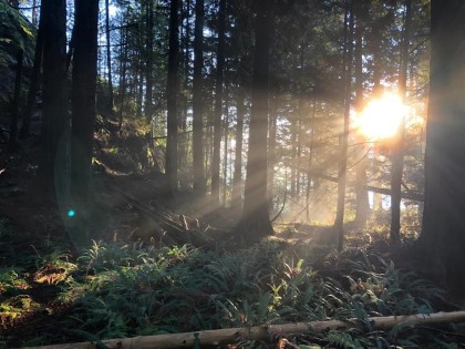 Photo 32 at 22 Brighton Beach, Northlands, North Vancouver