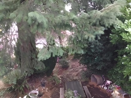 Photo 4 at 8479 Selkirk Street, Marpole, Vancouver West