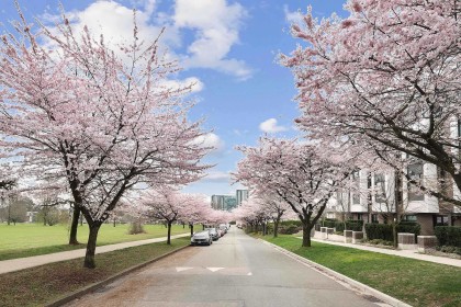 Photo 1 at 7623 Yukon Street, Marpole, Vancouver West