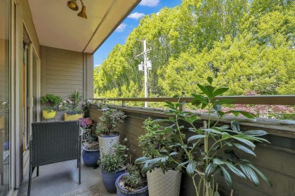 Photo 21 at 314 - 1777 W 13th Avenue, Fairview VW, Vancouver West