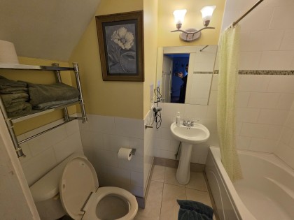 Photo 14 at 387 W 13th Avenue, Mount Pleasant VW, Vancouver West