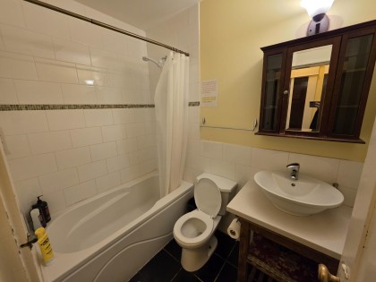 Photo 11 at 387 W 13th Avenue, Mount Pleasant VW, Vancouver West