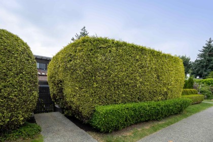 Photo 4 at 1915 Chesterfield Avenue, Central Lonsdale, North Vancouver
