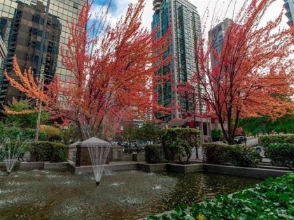 Photo 37 at 303 - 1415 W Georgia Street, Coal Harbour, Vancouver West