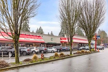 Photo 31 at 3020 Thorncliffe Drive, Edgemont, North Vancouver