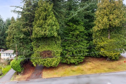 Photo 8 at LOT 2 - 3091 Royal Avenue, Princess Park, North Vancouver