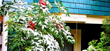 Photo 12 at 2635 W 7th Avenue, Kitsilano, Vancouver West