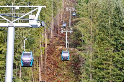 Photo 35 at 5709 Owl Court, Grouse Woods, North Vancouver