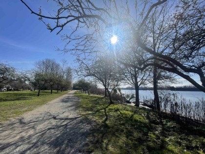 Photo 30 at 8208 Tugboat Place, Southlands, Vancouver West