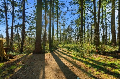 Photo 6 at 54 - 433 Seymour River Place, Seymour NV, North Vancouver