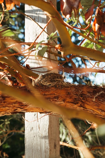 Photo 8 at 5757 Telegraph Trail, Eagle Harbour, West Vancouver