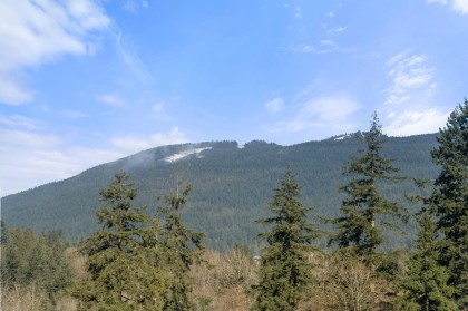 Photo 32 at 1001 Old Lillooet Road, Lynnmour, North Vancouver