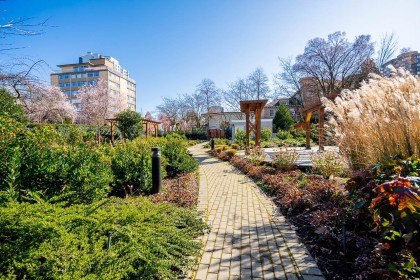 Photo 35 at 204 - 1740 Comox Street, West End VW, Vancouver West