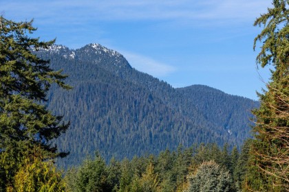 Photo 30 at 5508 Molina Road, Canyon Heights NV, North Vancouver