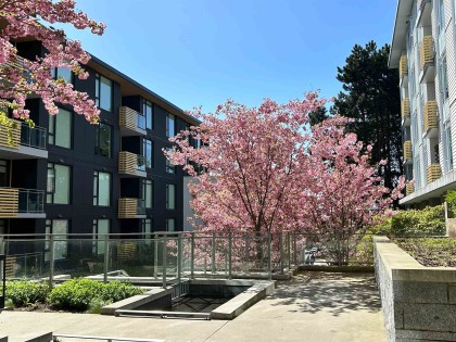 Photo 2 at 609 - 7428 Alberta Street, South Cambie, Vancouver West