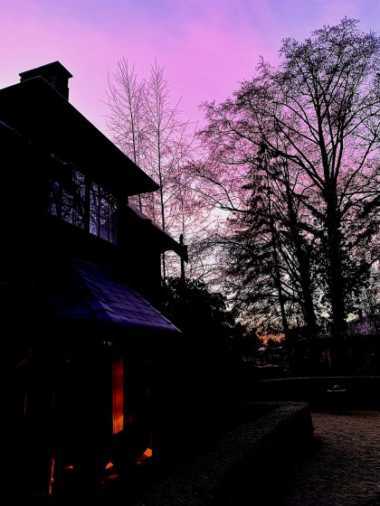 Photo 33 at 6786 Blenheim Street, Southlands, Vancouver West