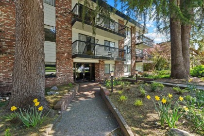 Photo 25 at 305 - 2330 Maple Street, Kitsilano, Vancouver West