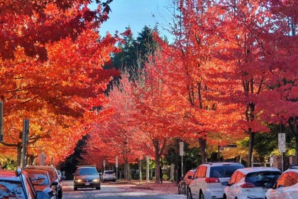 Photo 36 at 202 - 6268 Eagles Drive, University VW, Vancouver West