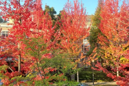 Photo 38 at 202 - 6268 Eagles Drive, University VW, Vancouver West