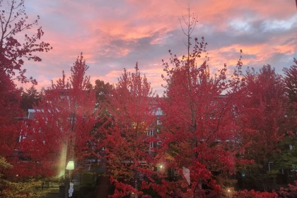 Photo 37 at 202 - 6268 Eagles Drive, University VW, Vancouver West