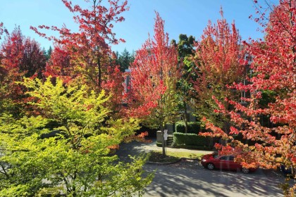 Photo 8 at 202 - 6268 Eagles Drive, University VW, Vancouver West