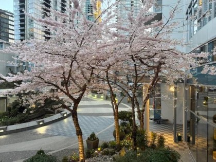 Photo 35 at TH20 - 1281 W Cordova Street, Coal Harbour, Vancouver West