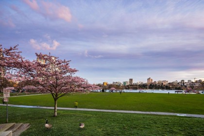 Photo 33 at 806 - 1318 Homer Street, Yaletown, Vancouver West