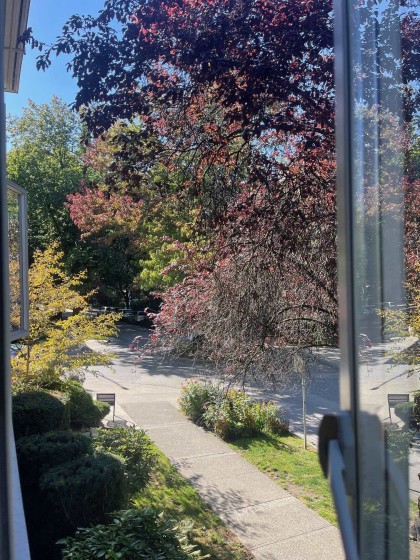 Photo 13 at 210 - 1050 Jervis Street, West End VW, Vancouver West