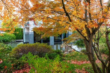 Photo 26 at 602 - 1550 W 15th Avenue, Fairview VW, Vancouver West