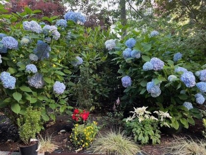 Photo 37 at 102 - 736 W 14th Avenue, Fairview VW, Vancouver West