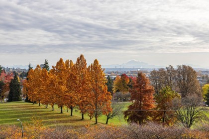 Photo 28 at 408 - 7638 Cambie Street, Marpole, Vancouver West