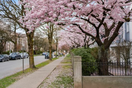 Photo 24 at 204 - 3168 Laurel Street, Fairview VW, Vancouver West