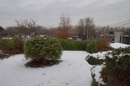 Photo 27 at 3945 W 10th Avenue, Point Grey, Vancouver West