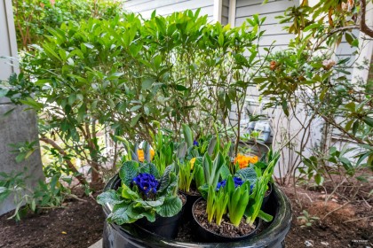 Photo 27 at 2472 Shadbolt Lane, Panorama Village, West Vancouver