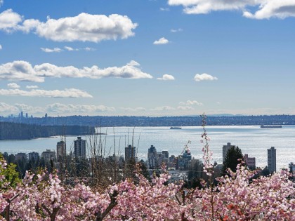 Photo 16 at 2220 Queens Avenue, Queens, West Vancouver